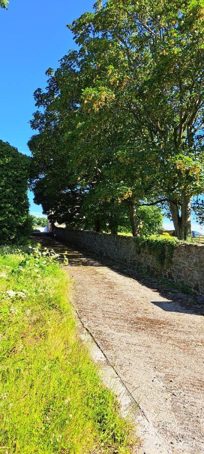Ardkeen House B&B Bagian luar foto