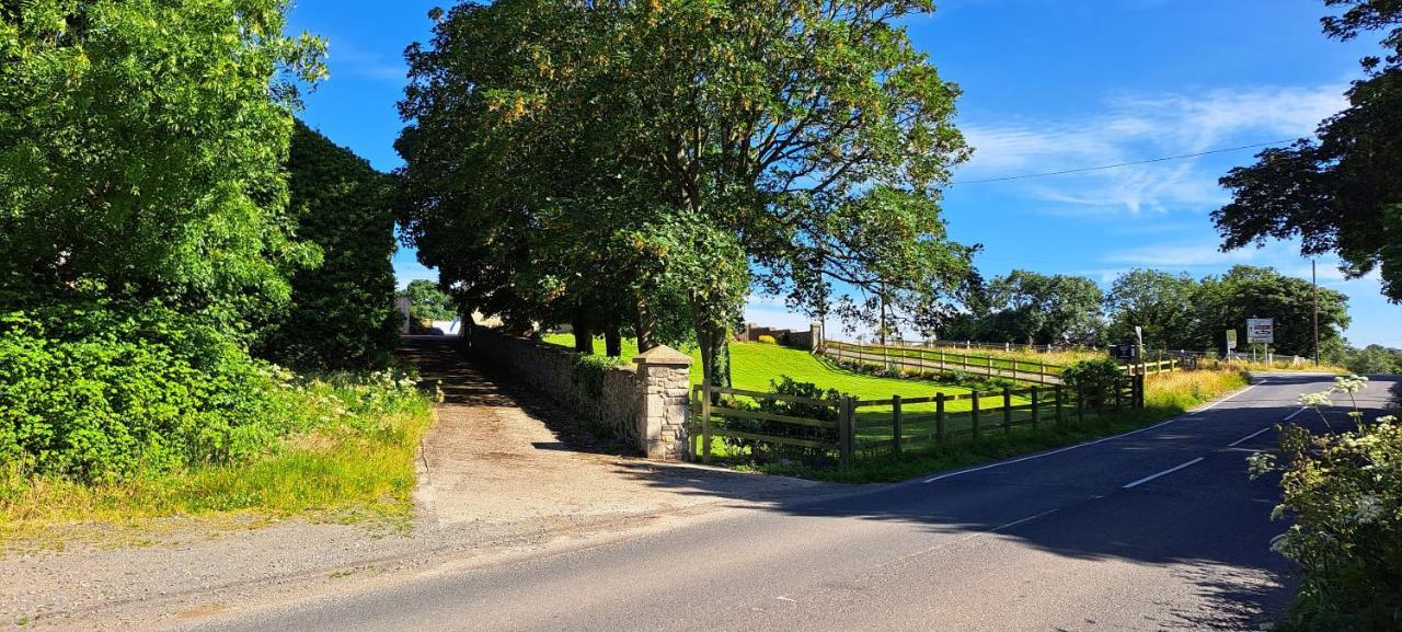 Ardkeen House B&B Bagian luar foto